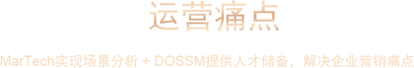 MarTech 實(shí)現(xiàn)場景分寫 + DOSSM提供人才儲備，解決企業(yè)營銷痛點(diǎn)